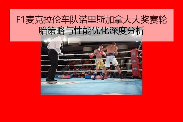 mai-ke-la-lun-che-dui-nuo-li-si-jia-na-da-da-jiang-sai-lun-tai-ce-lve-yu-xing-neng-you-hua-shen-du-fen-xi-2-384.jpg