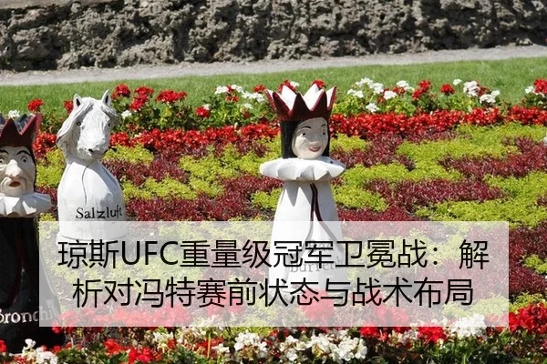 琼斯UFC重量级冠军卫冕战：解析对冯特赛前状态与战术布局